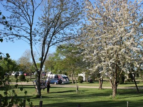 Camping De Courte Vallée - Camping Deux-Sèvres - Image N°6