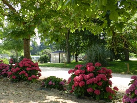 Camping De Courte Vallée - Camping Deux-Sèvres - Image N°2
