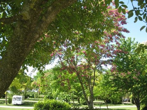 Camping De Courte Vallée - Camping Deux-Sèvres - Image N°16