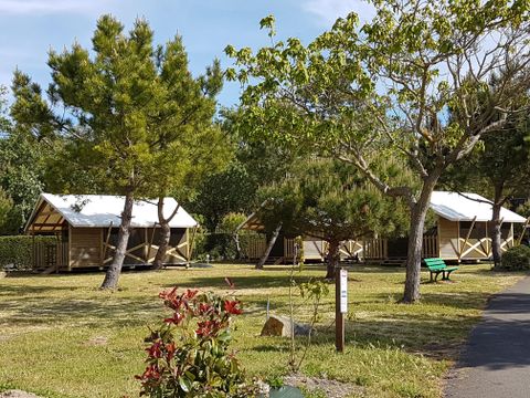 TENTE TOILE ET BOIS 4 personnes - Lodge Cambodgia 2 chambres 1/4 pers
