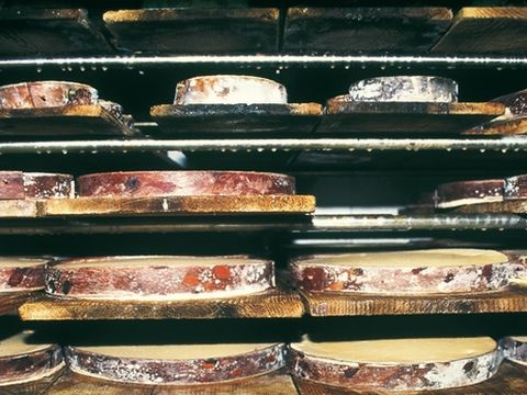 Camping de La Forêt - Camping Doubs - Image N°24