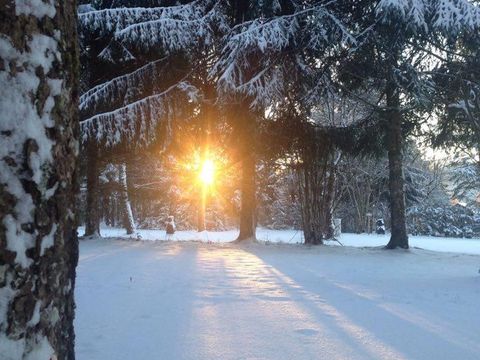 Camping de La Forêt - Camping Doubs - Image N°62