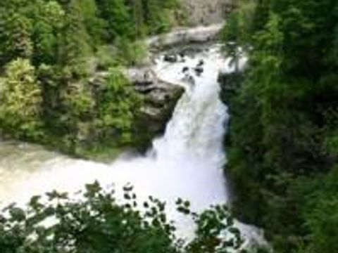 Camping de La Forêt - Camping Doubs - Image N°48