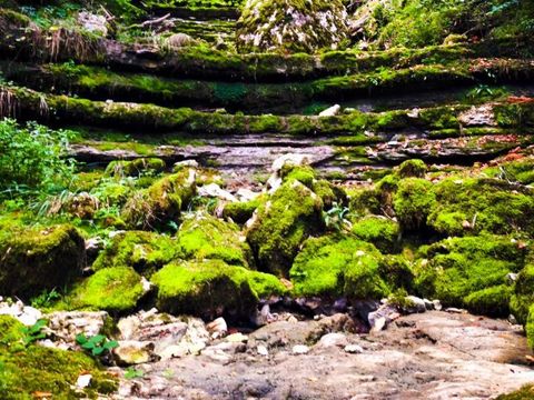 Camping de La Forêt - Camping Doubs - Image N°59