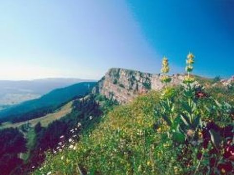 Camping de La Forêt - Camping Doubs - Image N°45