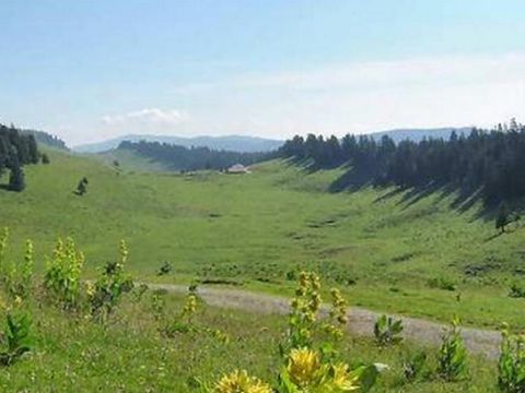 Camping de La Forêt - Camping Doubs - Image N°54