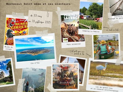 Camping La Rabine - Camping Loire-Atlantique - Image N°14