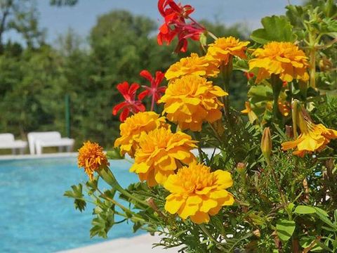 Flower Camping les 3 Ours - Camping Jura - Image N°16