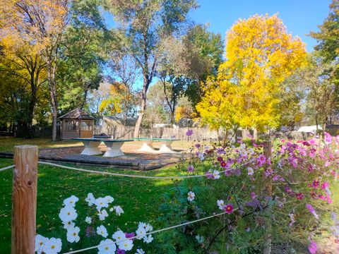 Camping Les Rives de Grand Lieu - Camping Loire-Atlantique - Image N°19