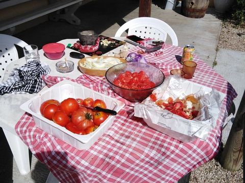Camping De La Motte - Camping Indre-et-Loire - Image N°14
