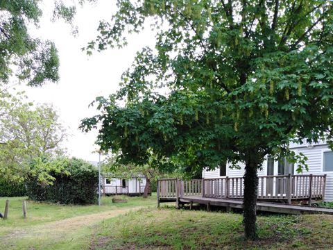 Camping De La Motte - Camping Indre-et-Loire - Image N°18