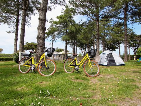 Camping Mirabel La Renaudière - Camping Loire-Atlantique - Image N°34