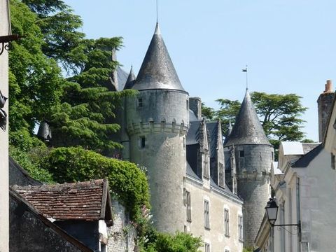 Camping Les Coteaux du Lac - Camping Indre-et-Loire - Image N°37