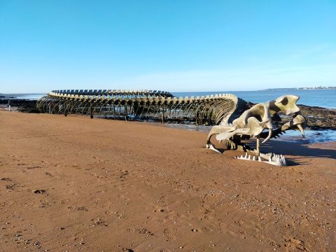 Camping du Vieux Château - Camping Loire-Atlantique - Image N°59
