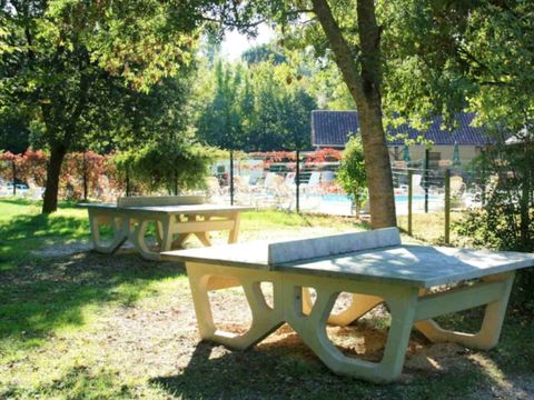 Camping La Vallee des Vignes - Camping Maine-et-Loire - Image N°11