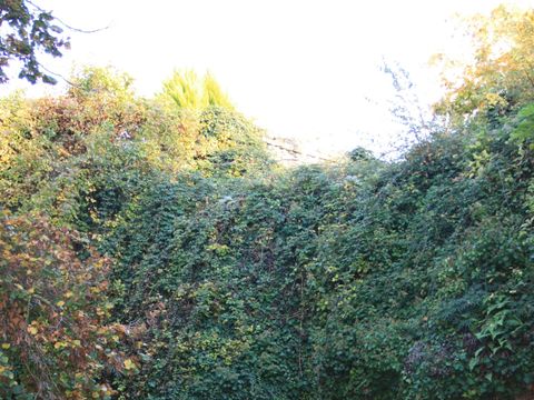 Camping La Vallee des Vignes - Camping Maine-et-Loire - Image N°18