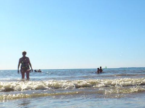 Camping Bel Essor - Camping Loire-Atlantique - Image N°6