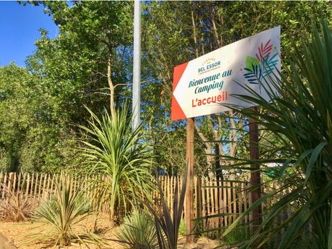 Camping Bel Essor - Camping Loire-Atlantique - Image N°17