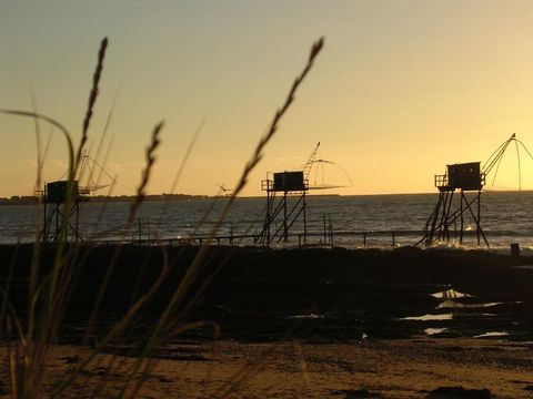 Camping Bel Essor - Camping Loire-Atlantique - Image N°20