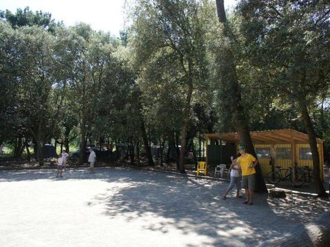 Camping Paradis - Les Rochelets  - Camping Loire-Atlantique - Image N°28