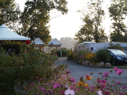 Camping L'Isle Verte - Camping Maine-et-Loire - Image N°4