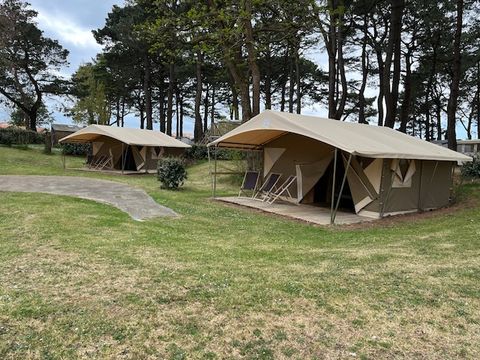 TENTE 6 personnes - Tente toilée - 20m² - 3 chambres - avec électricité + terrasse couverte -