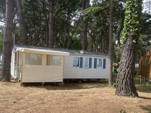 MOBILHOME 6 personnes - - de 33m² à 40m² - 3 chambres - terrasse couverte/semi-couverte -