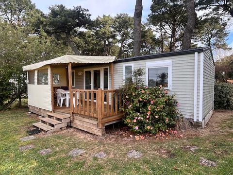 MOBILHOME 6 personnes - Mobil home Confort plus - 33m² - 3 chambres - terrasse couverte