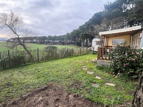 MOBILHOME 6 personnes - Mobil home Confort plus - 33m² - 3 chambres - terrasse couverte