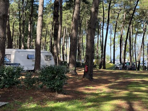 Camping Ushuaïa Villages L'estuaire - Camping Loire-Atlantique - Image N°18