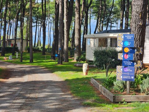 Camping Ushuaïa Villages L'estuaire - Camping Loire-Atlantique - Image N°15