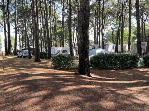 Camping Ushuaïa Villages L'estuaire - Camping Loire-Atlantique - Image N°19