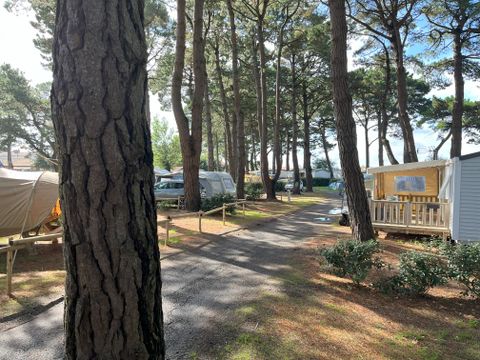 Camping Ushuaïa Villages L'estuaire - Camping Loire-Atlantique - Image N°16