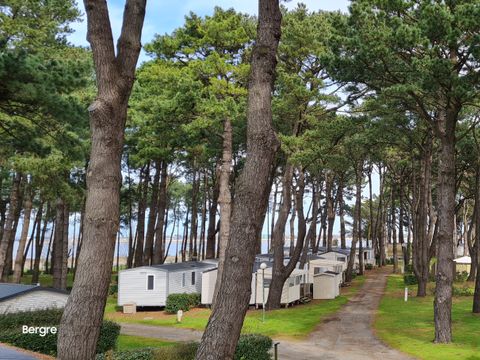 Camping Ushuaïa Villages L'estuaire - Camping Loire-Atlantique - Image N°17