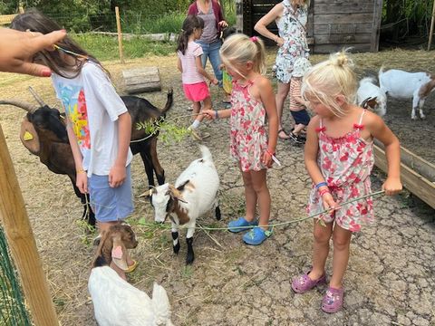 Camping Vallée de L'Indre - Camping Indre-et-Loire - Image N°12