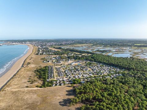 Camping les Chardons Bleus de la Turballe - Camping Loire-Atlantique - Image N°8