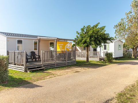 Camping les Chardons Bleus de la Turballe - Camping Loire-Atlantique - Image N°13