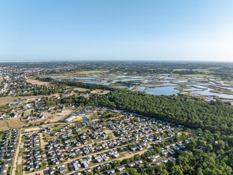 Camping les Chardons Bleus de la Turballe - Camping Loire-Atlantique - Image N°3