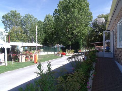 Camping Couleurs du Monde - Camping Loir-et-Cher - Image N°33