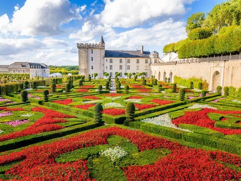 Camping Couleurs du Monde - Camping Loir-et-Cher - Image N°49