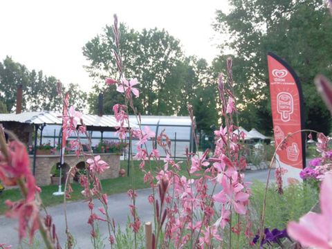 Camping Couleurs du Monde - Camping Loir-et-Cher - Image N°21