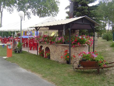 Camping Couleurs du Monde - Camping Loir-et-Cher - Image N°26
