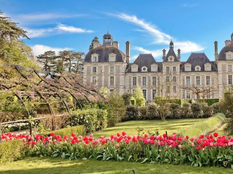 Camping Couleurs du Monde - Camping Loir-et-Cher - Image N°71