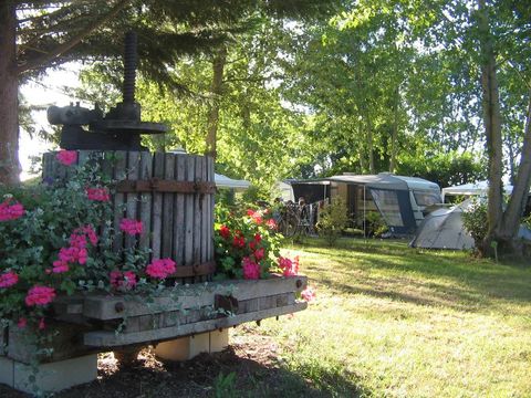 Camping Couleurs du Monde - Camping Loir-et-Cher - Image N°25