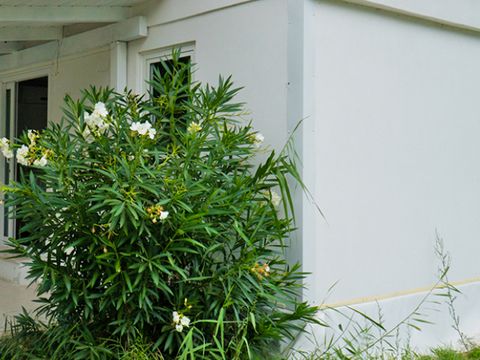 MOBILHOME 4 personnes - MH2 SUPÉRIEUR