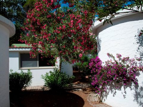 GÎTE 3 personnes - BUNGALOW STUDIO