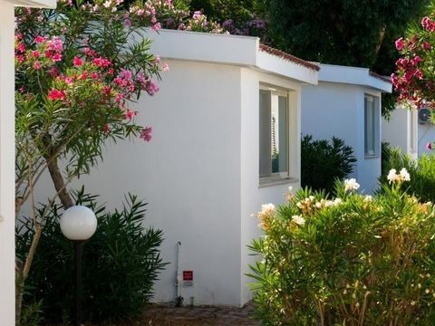 GÎTE 3 personnes - BUNGALOW STUDIO