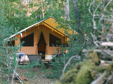  Le camping des Pins-Only Camp - Camping Cher - Image N°5
