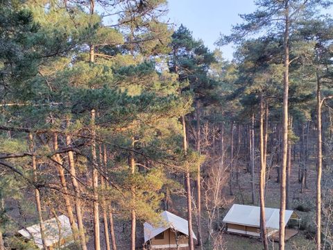  Le camping des Pins-Only Camp - Camping Cher - Image N°4