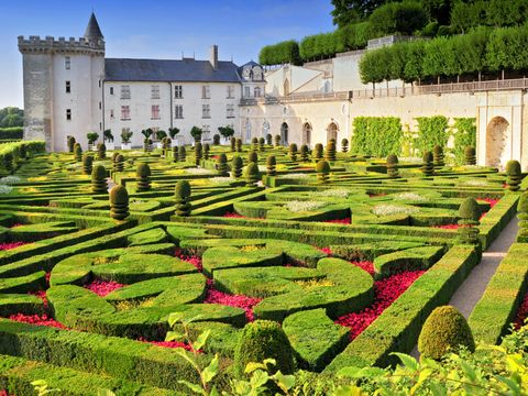 Camping La Mignardiere - Camping Indre-et-Loire - Image N°8